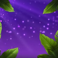 Fruit Heaven Hold and Win
