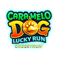 caramelo-dog-lucky-run