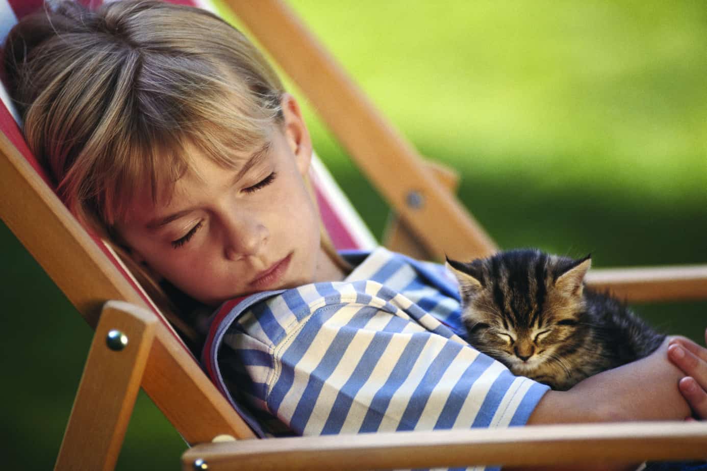 Featured image for “Sales of Pet Treats Outpace Dog/​Cat Food During the Past 5&nbsp;Years”