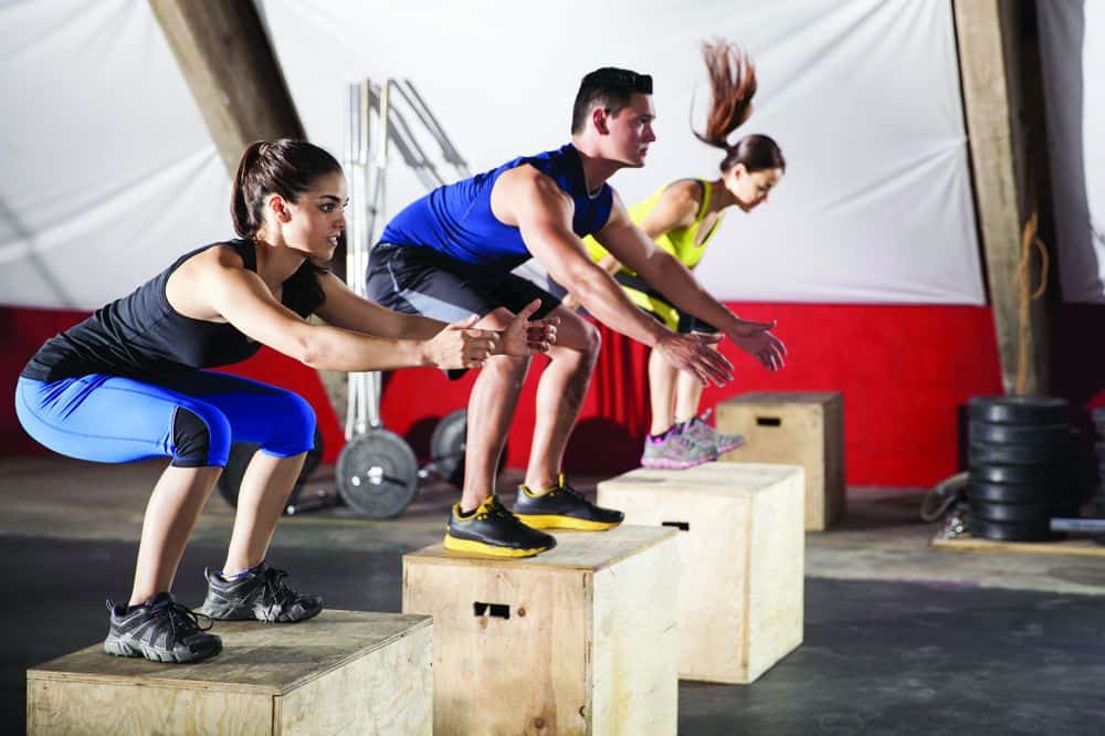 Featured image for &ldquo;Revenues Continue to Grow as Members Utilize Their Gyms More Frequently&rdquo;