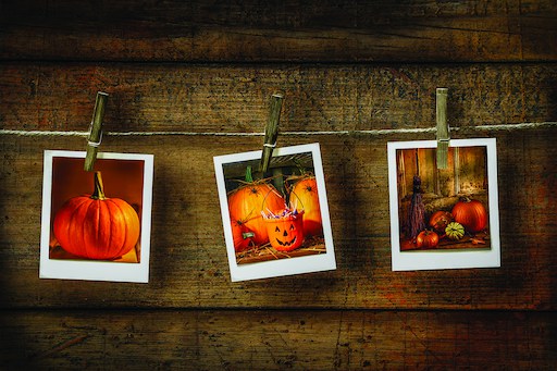 Featured image for &ldquo;Premium Point-​and-​Shoot Cameras and Instant Print Cameras See Year-​Over-​Year Growth&rdquo;