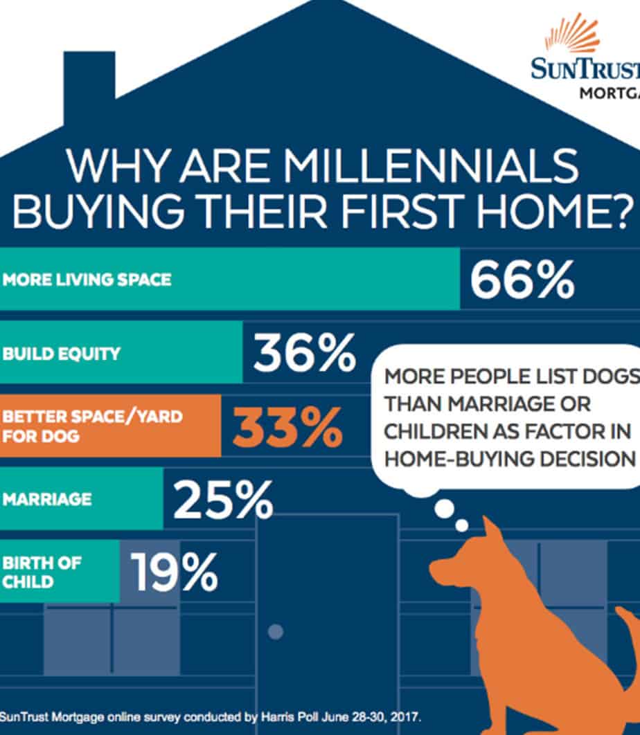 Featured image for &ldquo;Real Estate Agents Get Out of Dog House with Fido-​Loving Millennials&rdquo;