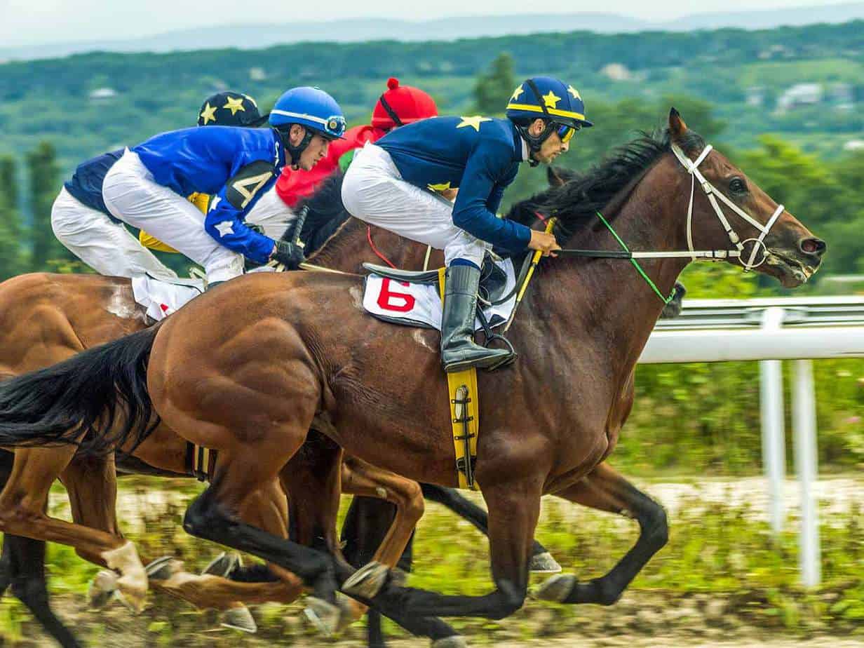 Featured image for “Majority of Americans Support Legalization of Sports Betting”