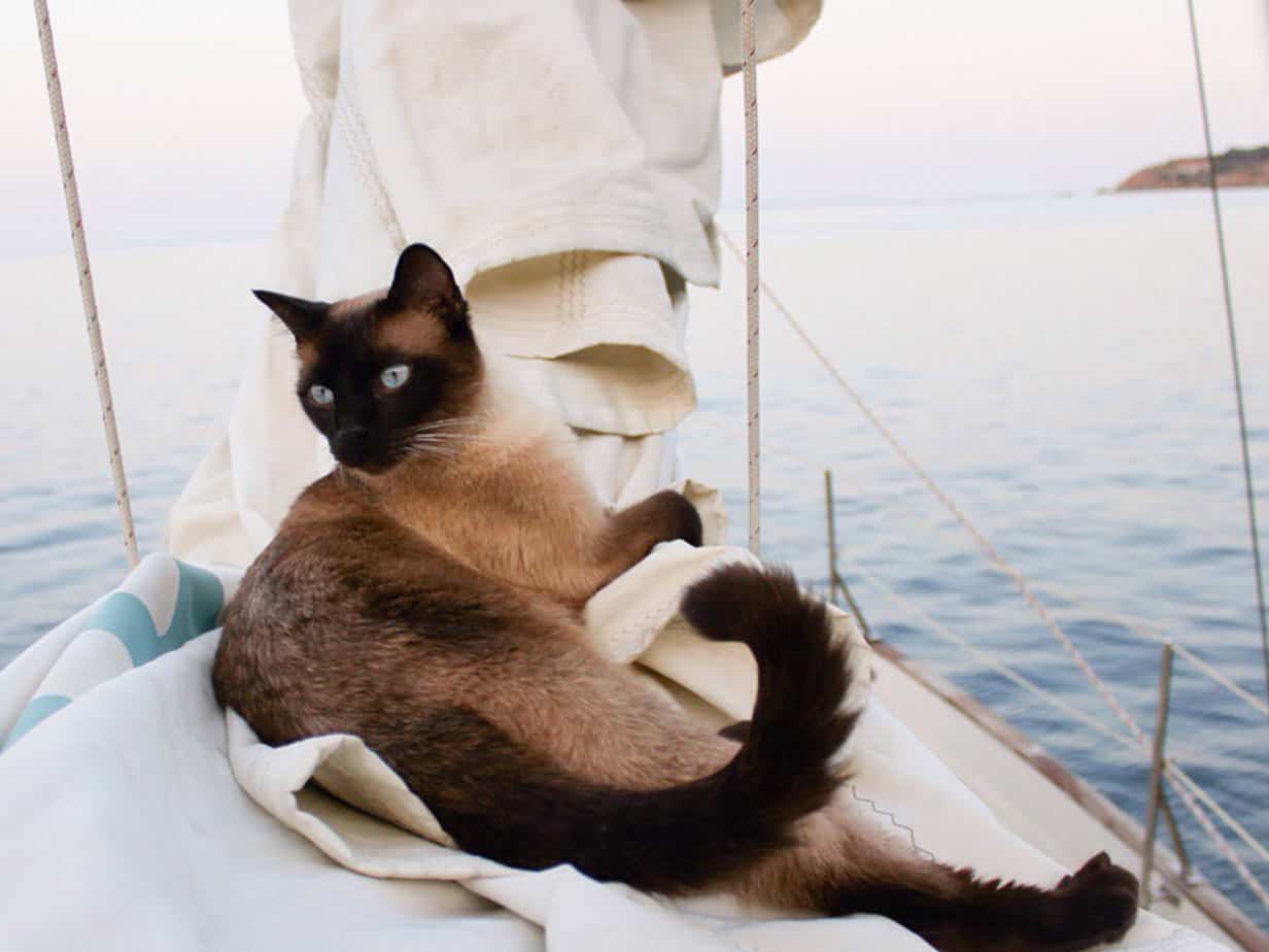 Featured image for “Travel Trends Cruising into&nbsp;2018”