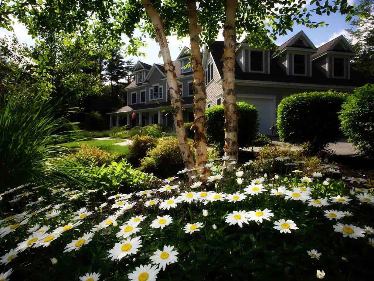 Featured image for &ldquo;The Top Landscape Trends of&nbsp;2018&rdquo;