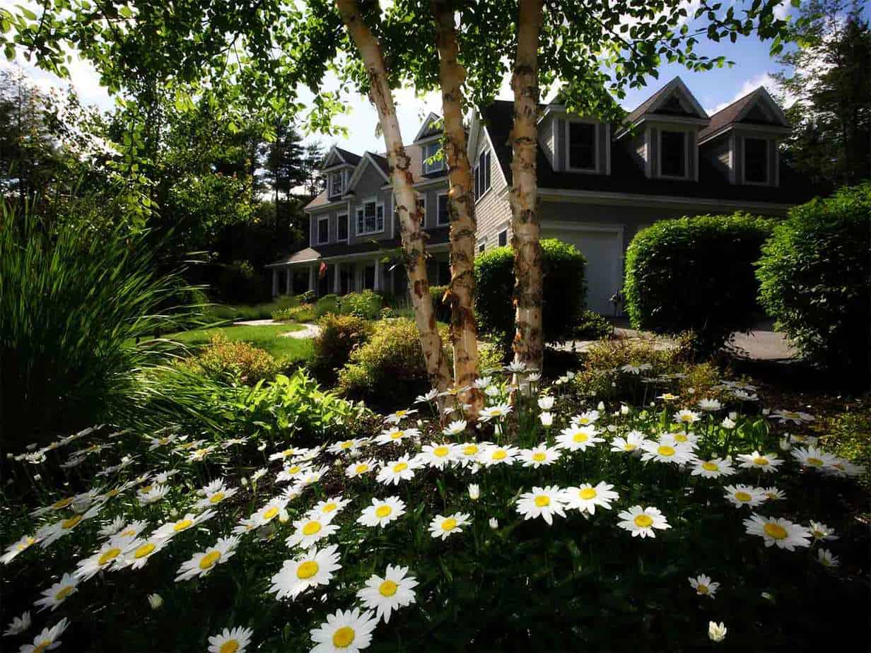 Featured image for “A 10% Landscaping Investment Increases Appraised Home&nbsp;Value”