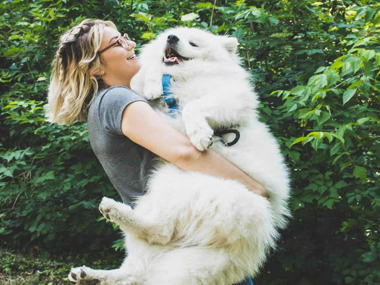 Featured image for “77% of Pet Owners Rely on Pet Boarding Services”