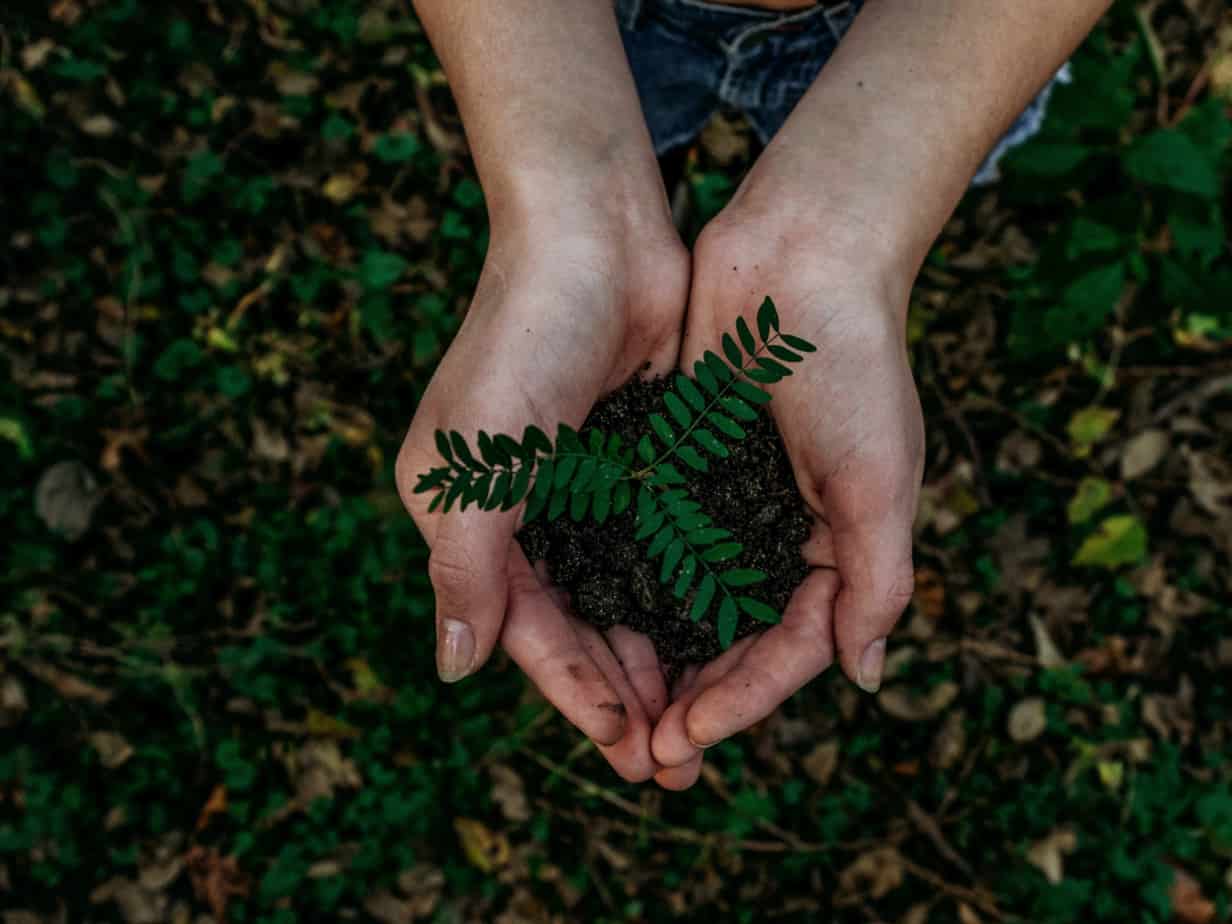 Featured image for “Retailers to Tout Sustainable Offerings”