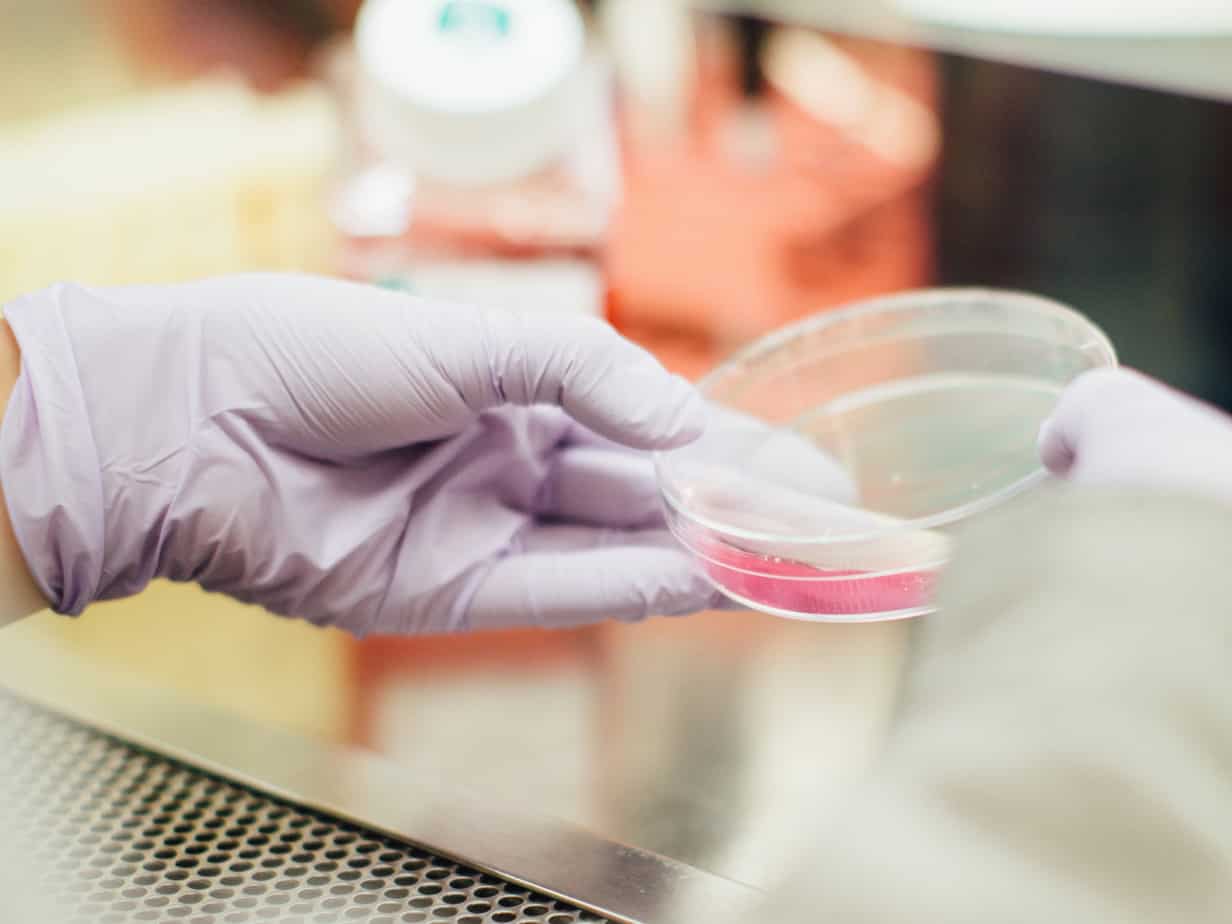 Featured image for &ldquo;Marketing Mail-​In DNA&nbsp;Tests&rdquo;