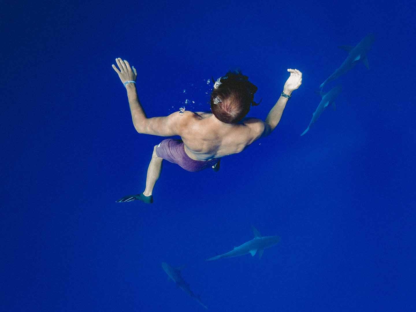 Featured image for “How to Shut Down Your Office Shark&nbsp;Tank”