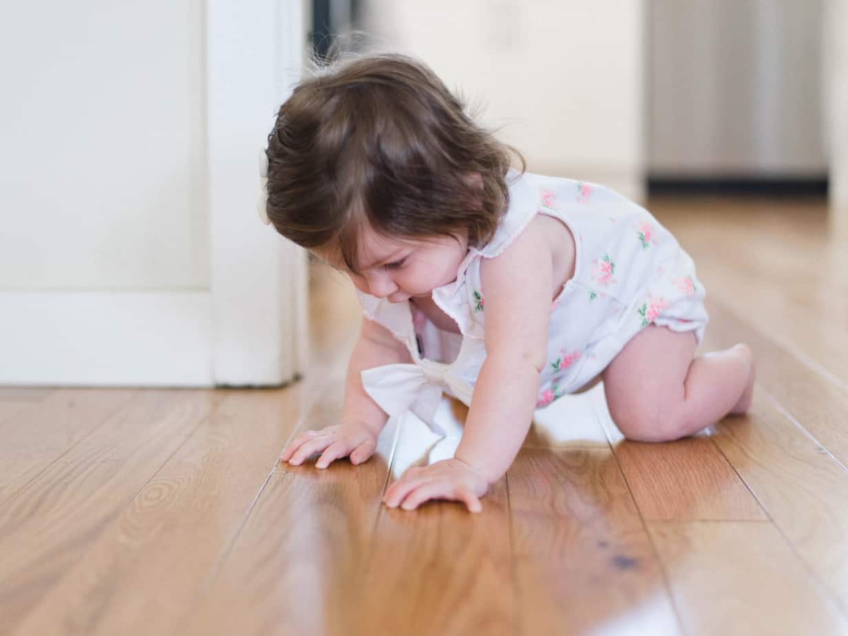 Featured image for “Flooring Retailers to Promote Options that can Take a&nbsp;Beating”