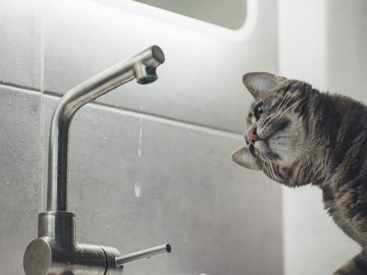 Featured image for “Water Treatment Services to Target the 110 Million+ Americans with Contaminated Water”