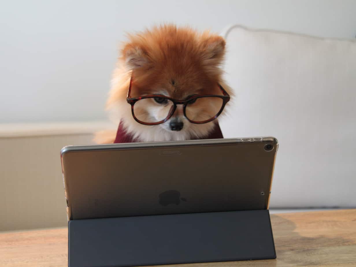 Featured image for &ldquo;3 Tips for More Engaging Sales Video&nbsp;Calls&rdquo;