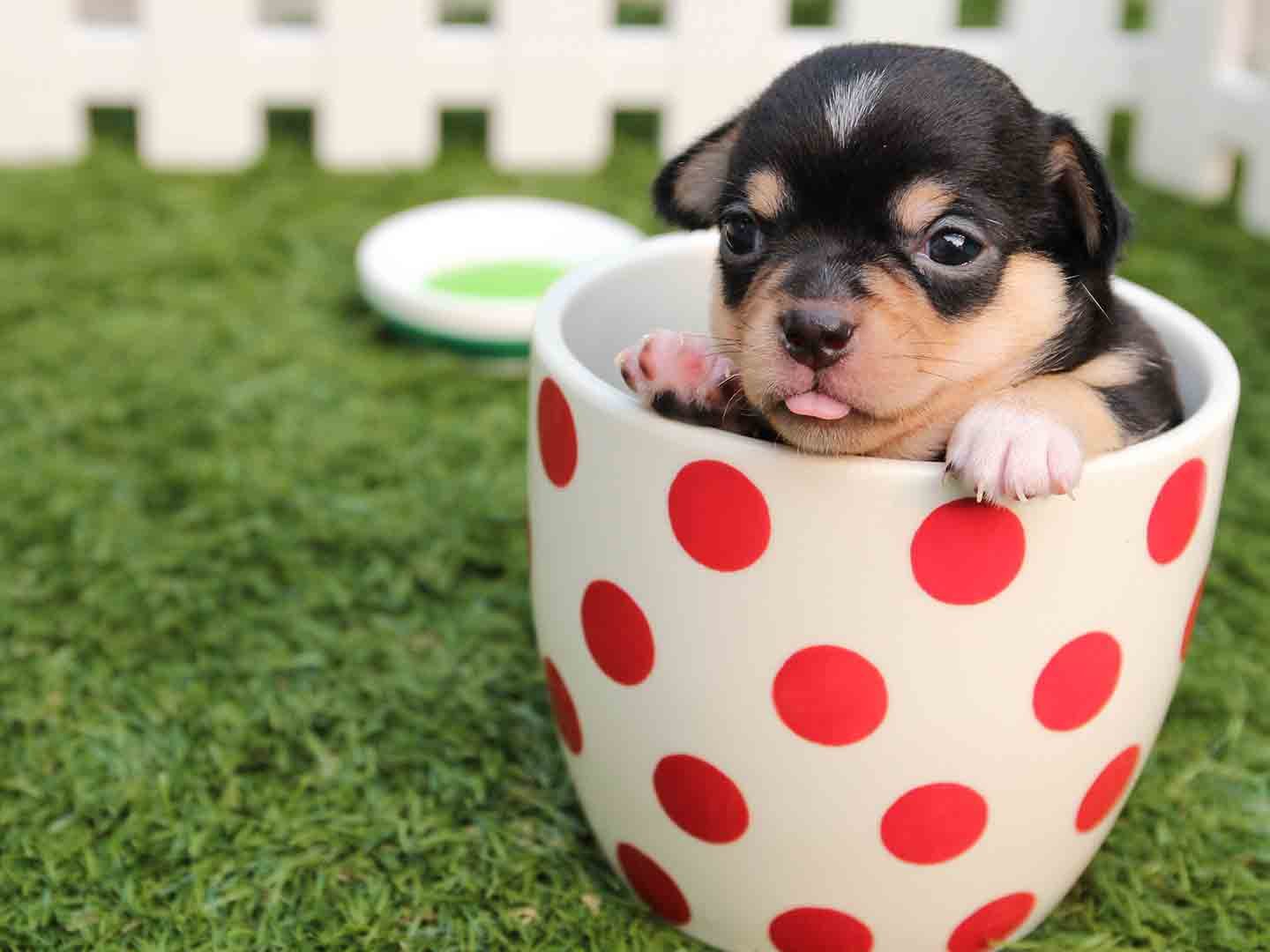 convinceconsumerstoshareadcontent