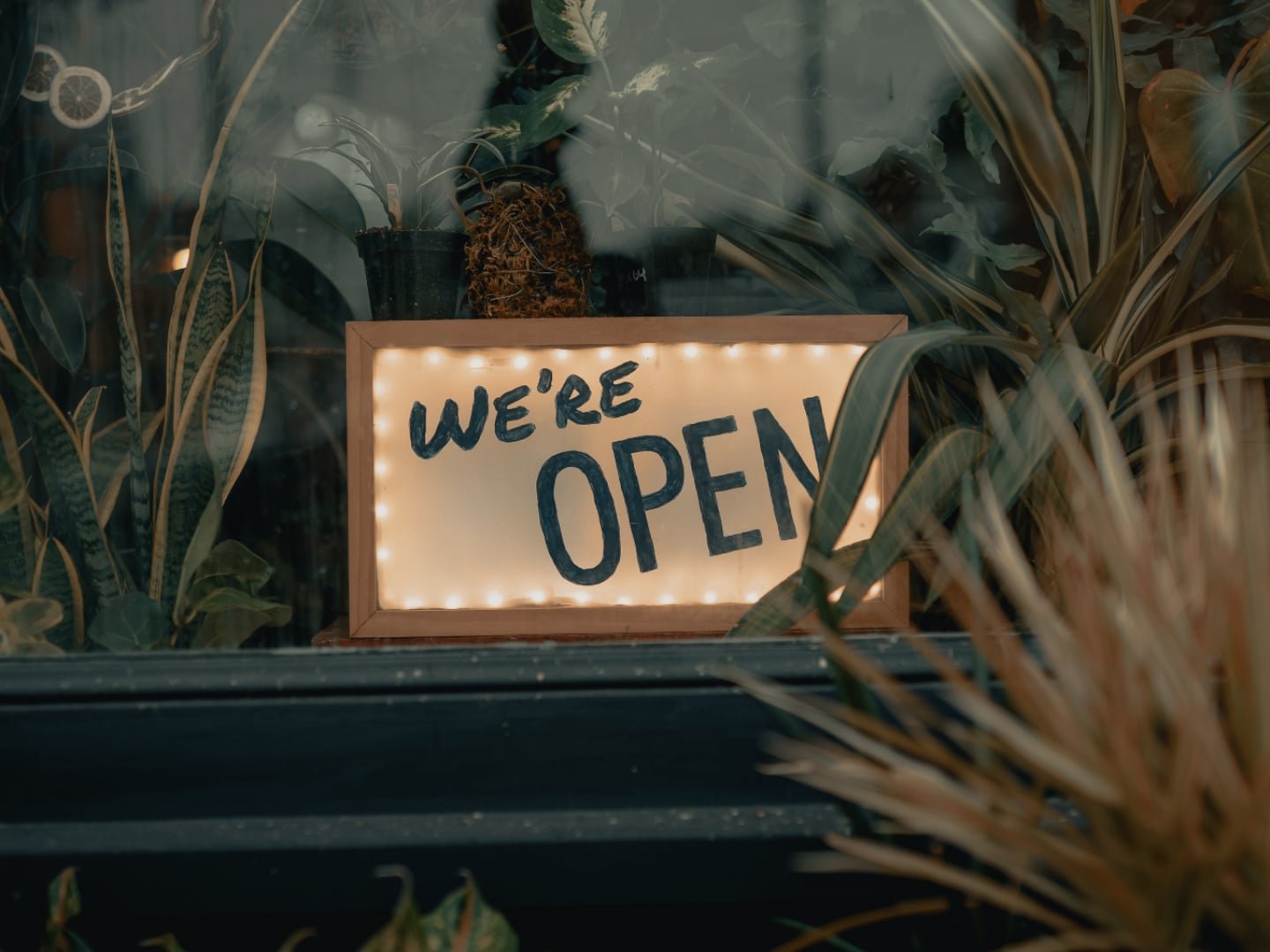 Post-Lockdown Videos