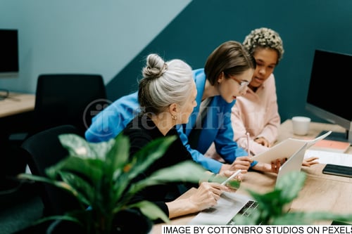 businessdevelopmentskills