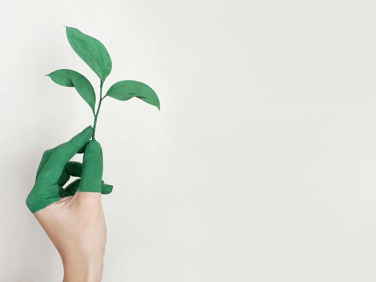 environmental sustainability