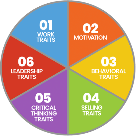 TeamTrait profiles 6 Elements of Professional Mindset TeamTrait profiles 6 Elements of Professional Mindset