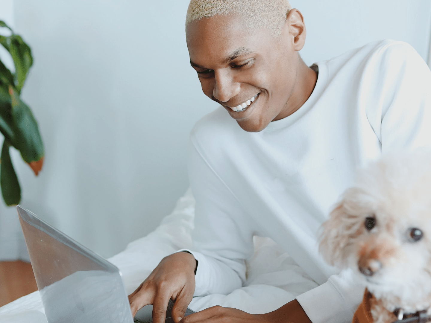 Email Open Rates
