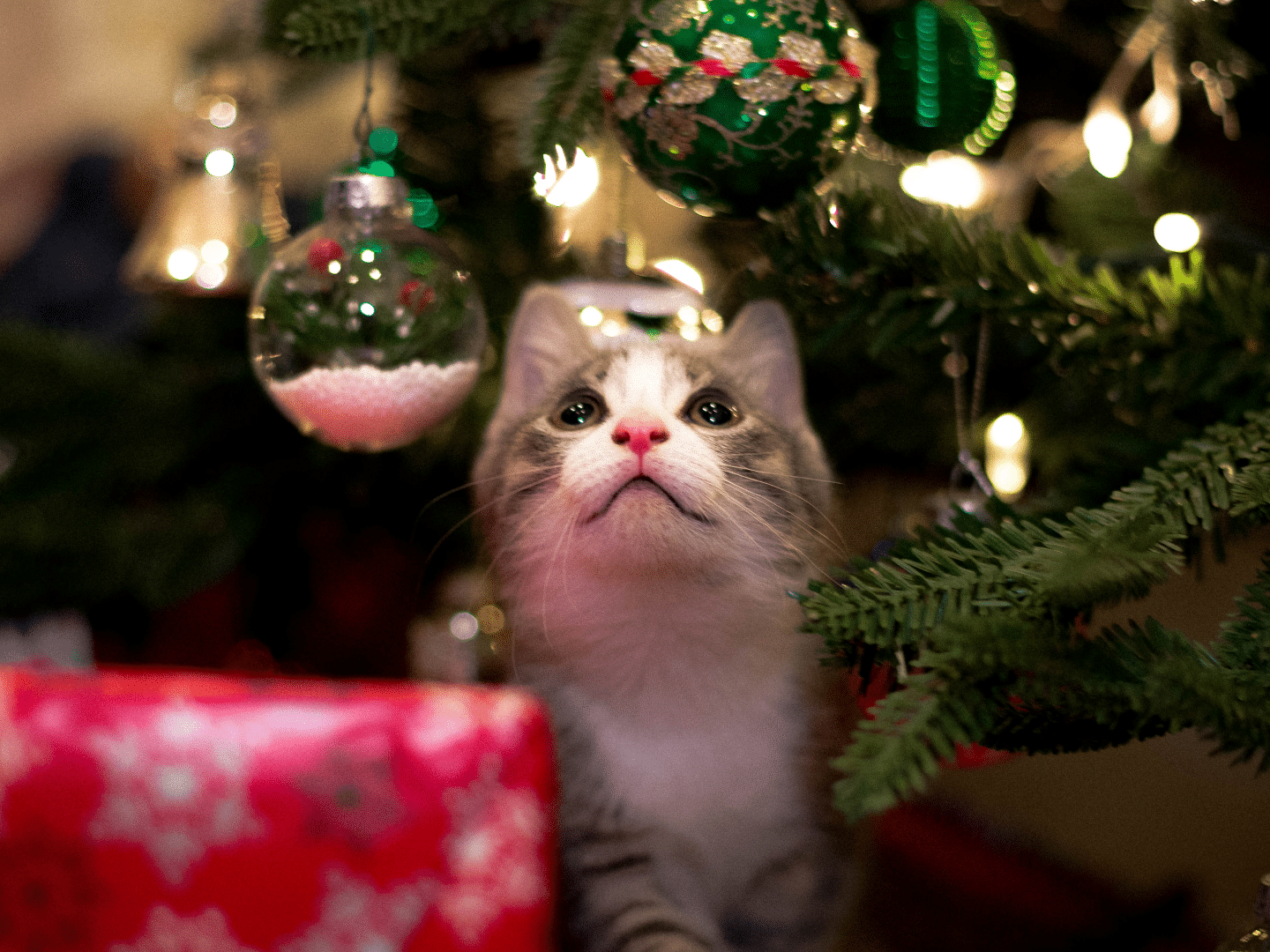 holiday advertising