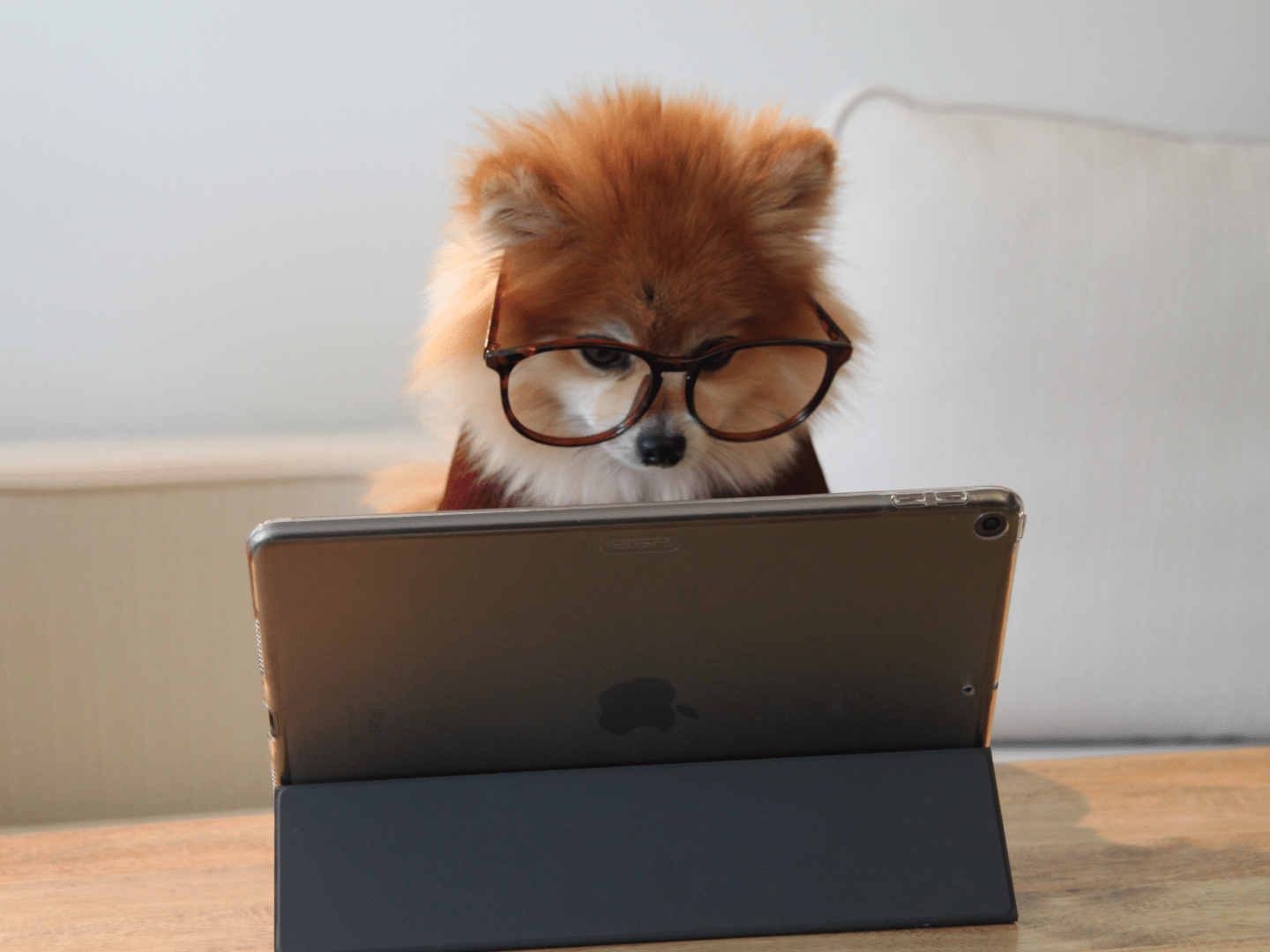 Paid Search Strategy