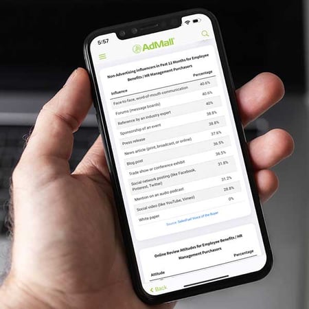AdMall, AudienceSCAN, psychographics, B2B intelligence, buyer intelligence, decision makers, Voice of the Buyer, SalesFuel AdMall AudienceSCAN: B2B intelligence, psychographics, buyer insights