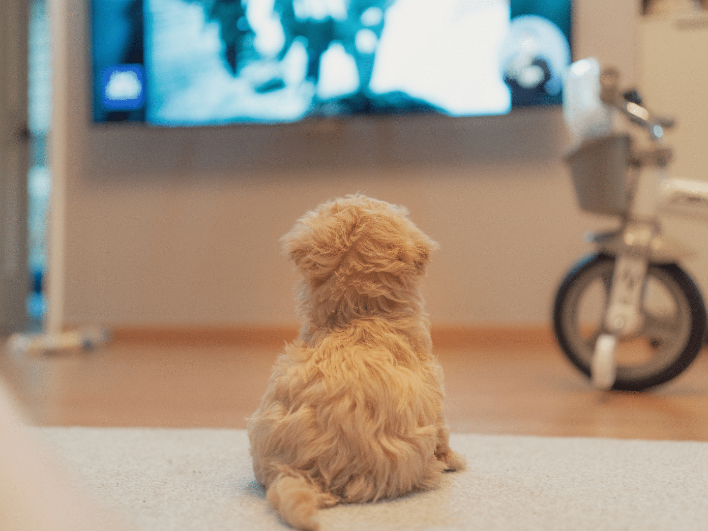 OTT video advertising