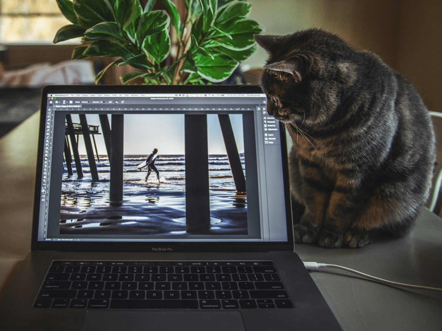 Video Marketing for Business