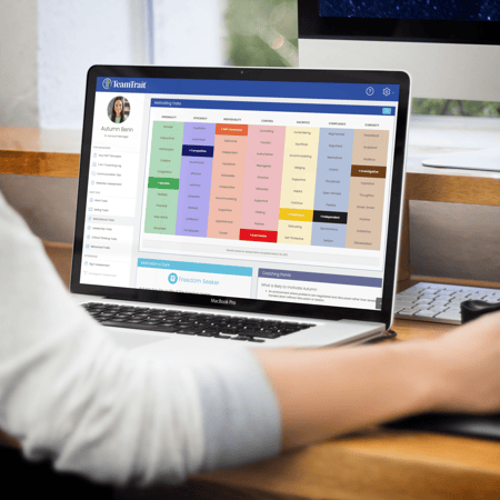 TeamTrait, Motivators, Pre-Hire Assessment Testing, Pre-Hire Assessments, sales hiring TeamTrait, Motivators, Pre-Hire Assessment Testing, Pre-Hire Assessments, sales hiring