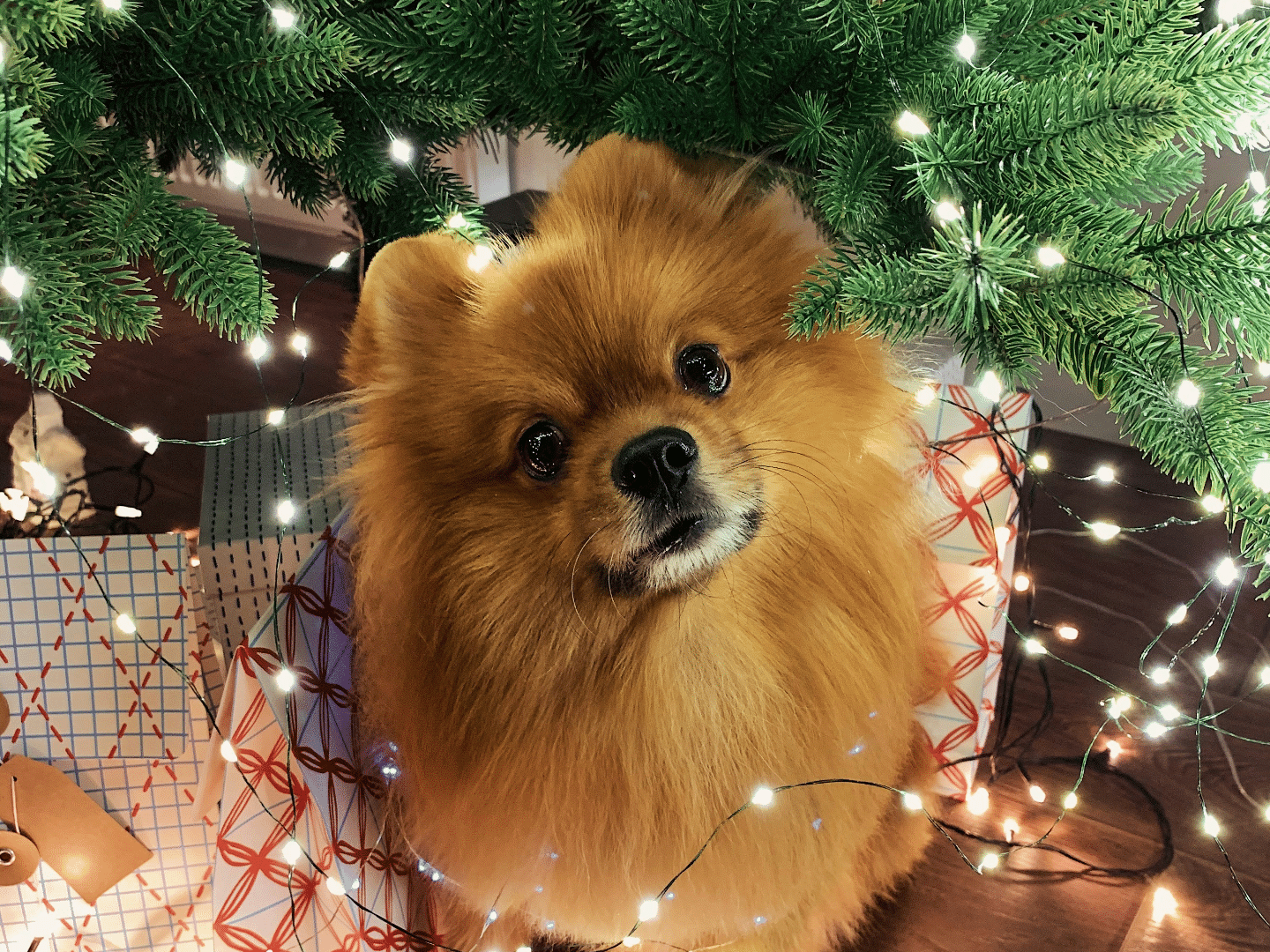 holiday marketing campaigns