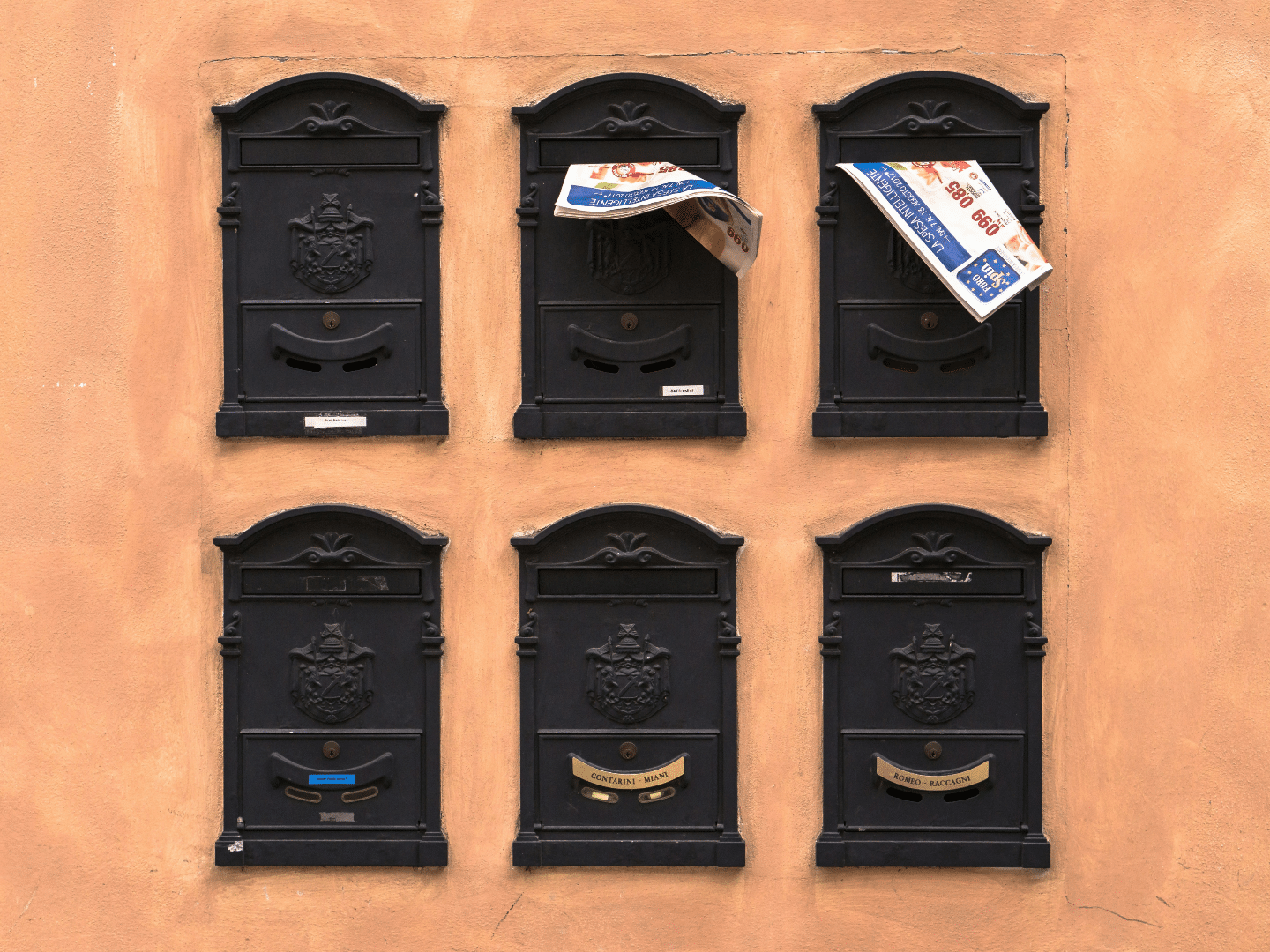 direct mail programs