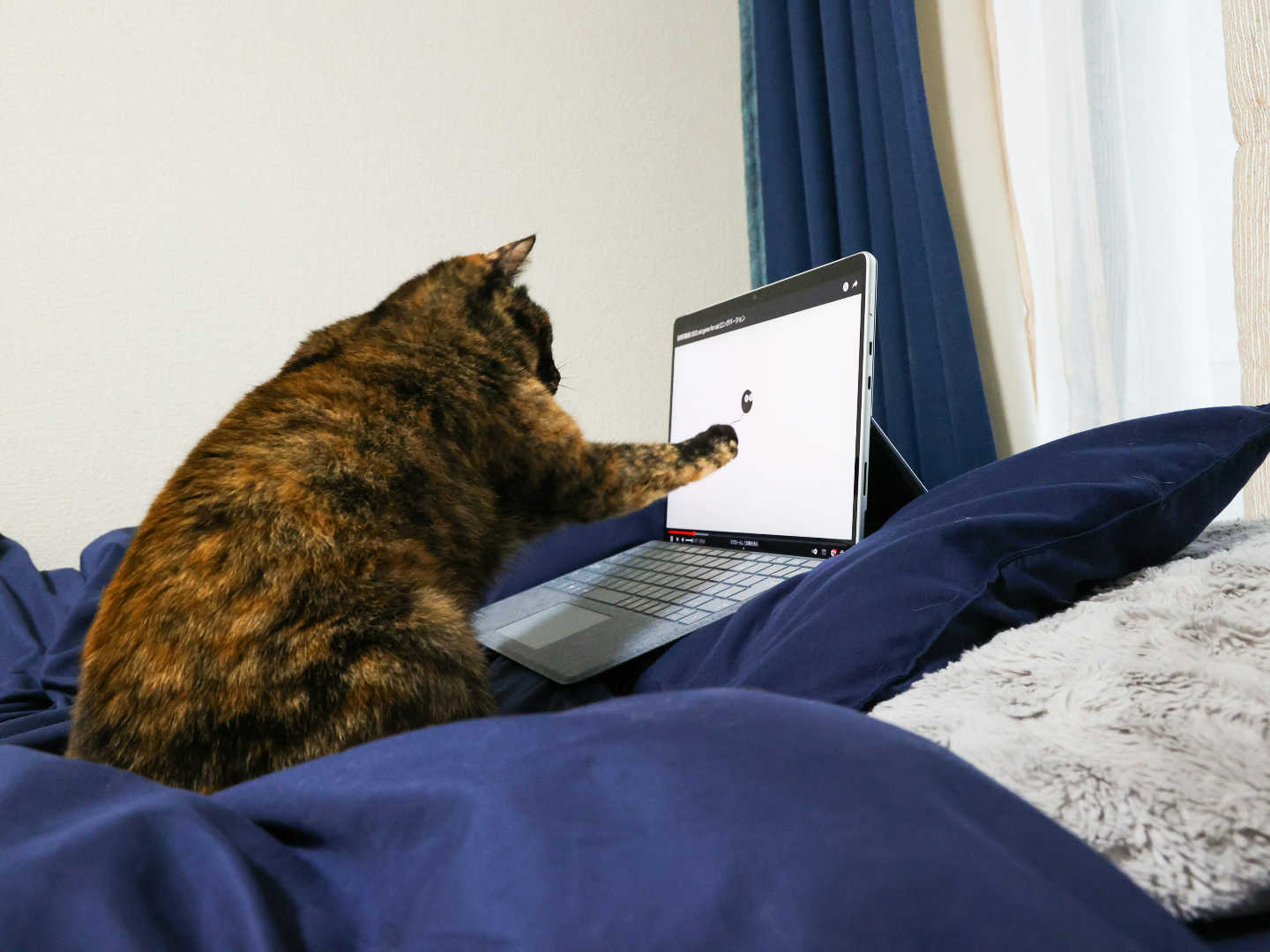 email marketing ideas