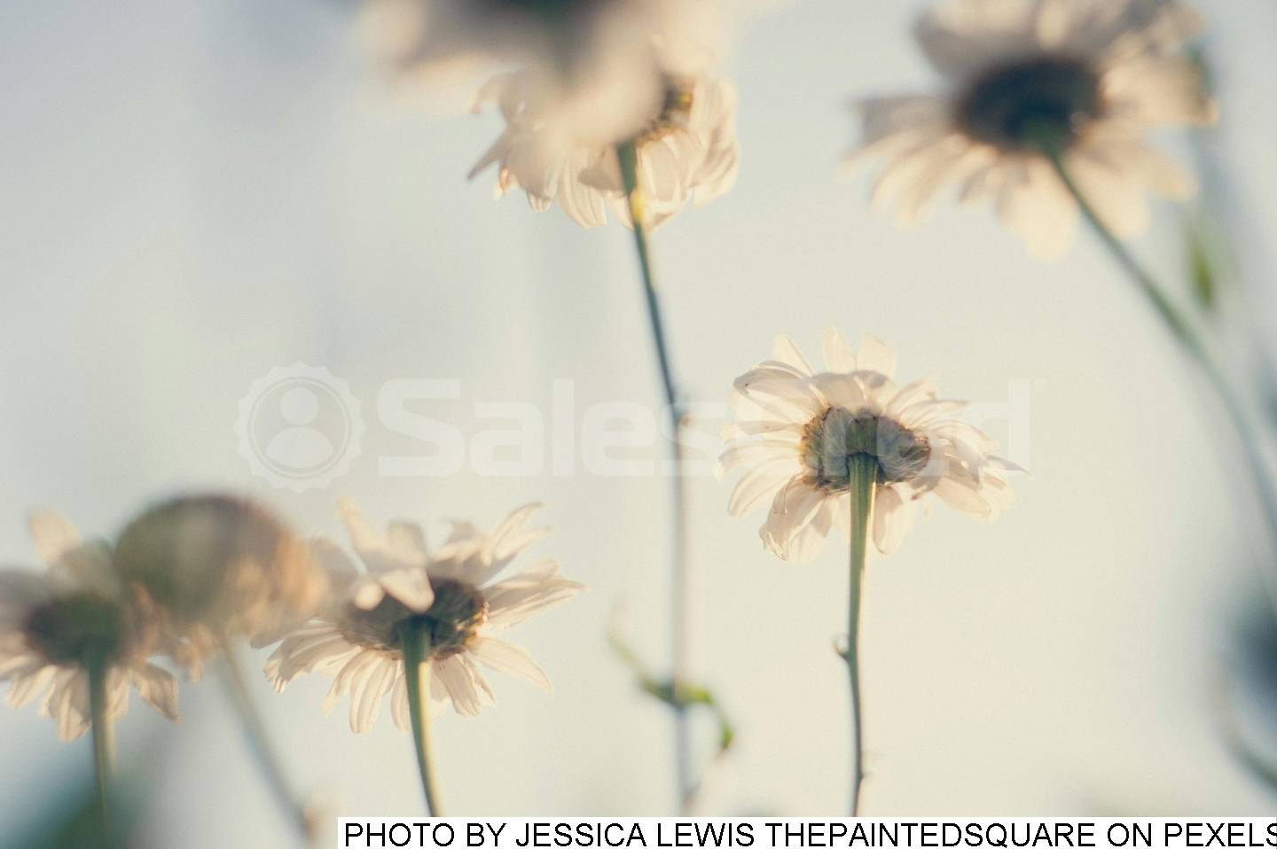 Featured image for &ldquo;Can Soft Close Sales Techniques Help You Win&nbsp;Big?&rdquo;