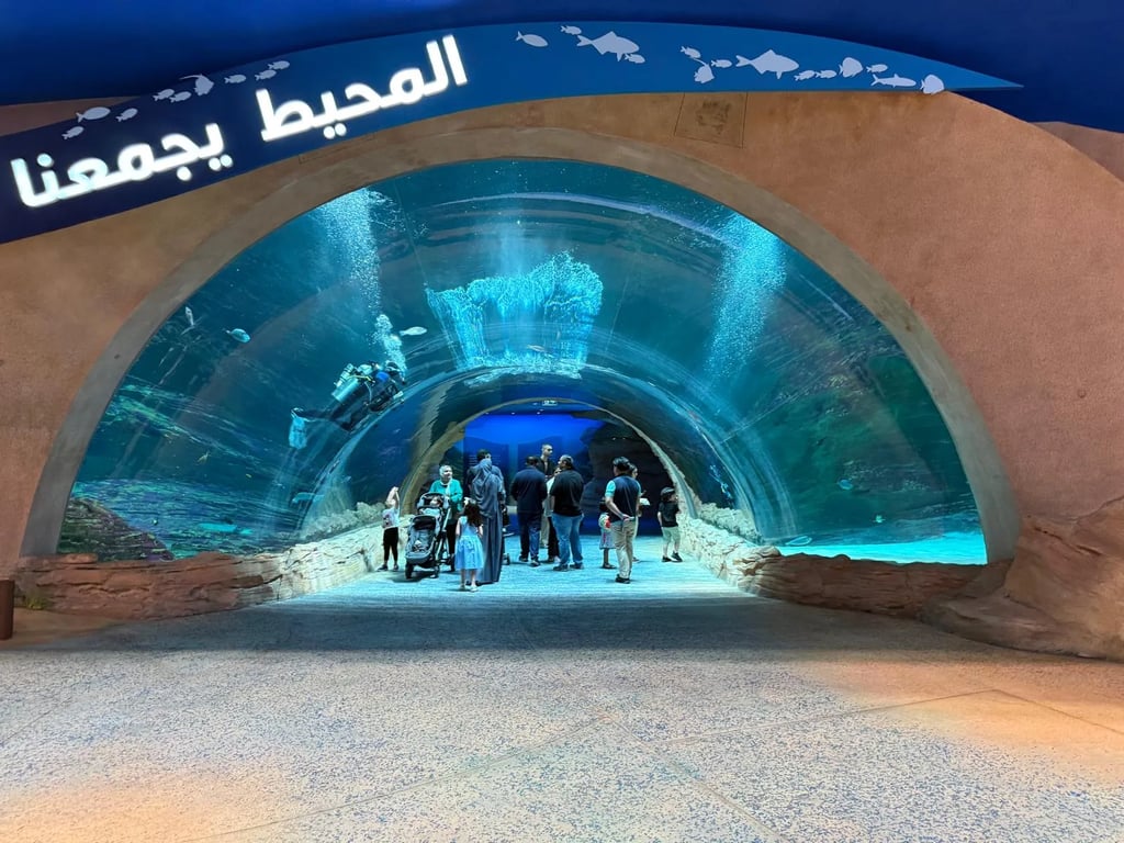 SeaWorld Yas Adası-Abu Dabi - Image 5