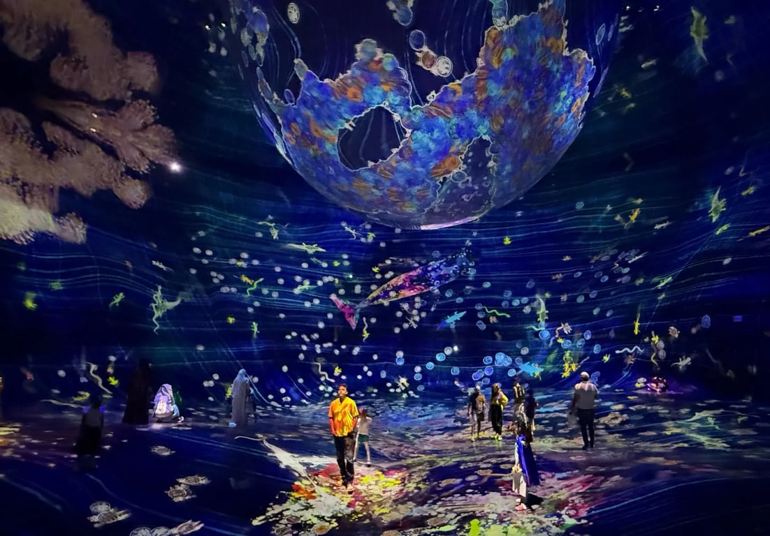 teamLab Phénomènes Abu Dhabi - Image 4