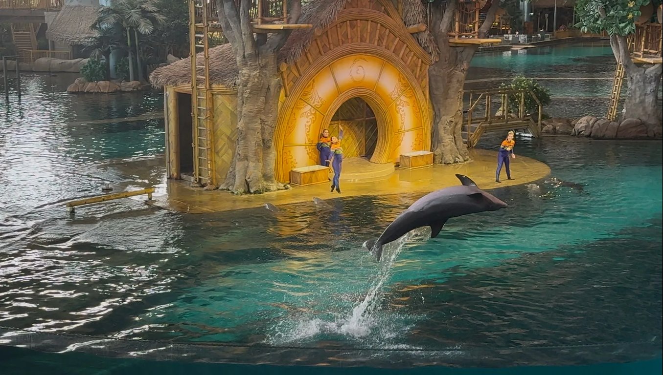 SeaWorld Yas Adası-Abu Dabi - Image 3