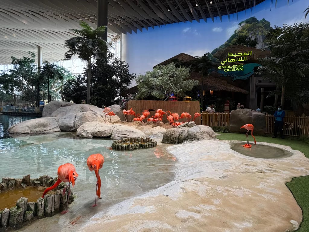 SeaWorld Yas Adası-Abu Dabi - Image 2