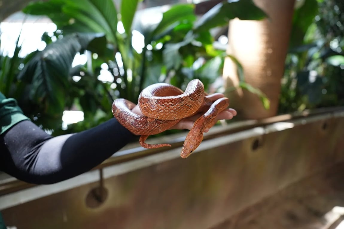 Зоопарк "Зеленая планета" - Image 4