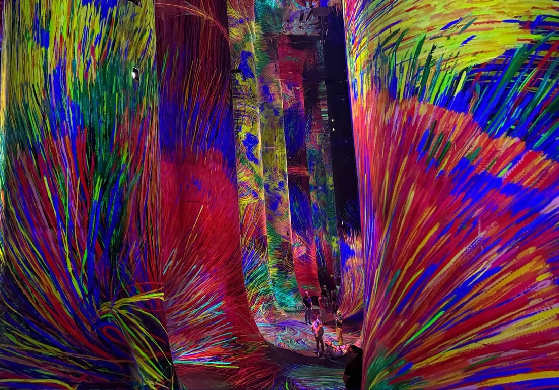 teamLab Phénomènes Abu Dhabi - Image 3