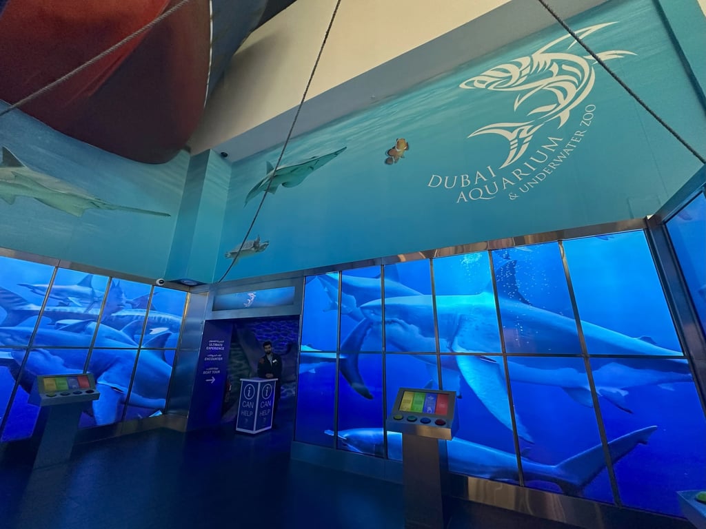 Aquarium et zoo sous-marin de Dubaï - Image 2