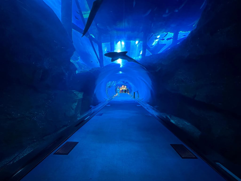 Aquarium et zoo sous-marin de Dubaï - Image 1