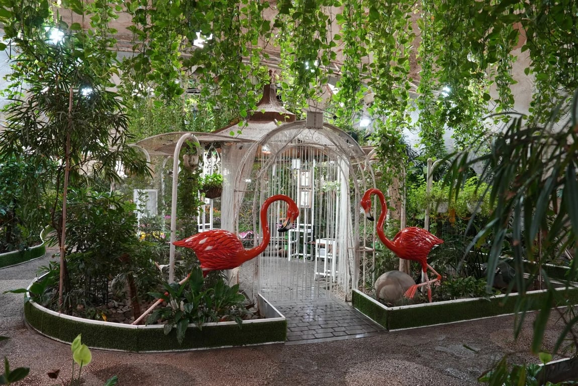 Dubai Butterfly Garden - Image 5