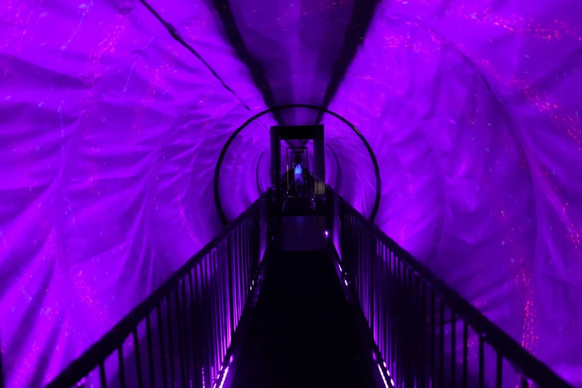 Musée des Illusions - Image 2