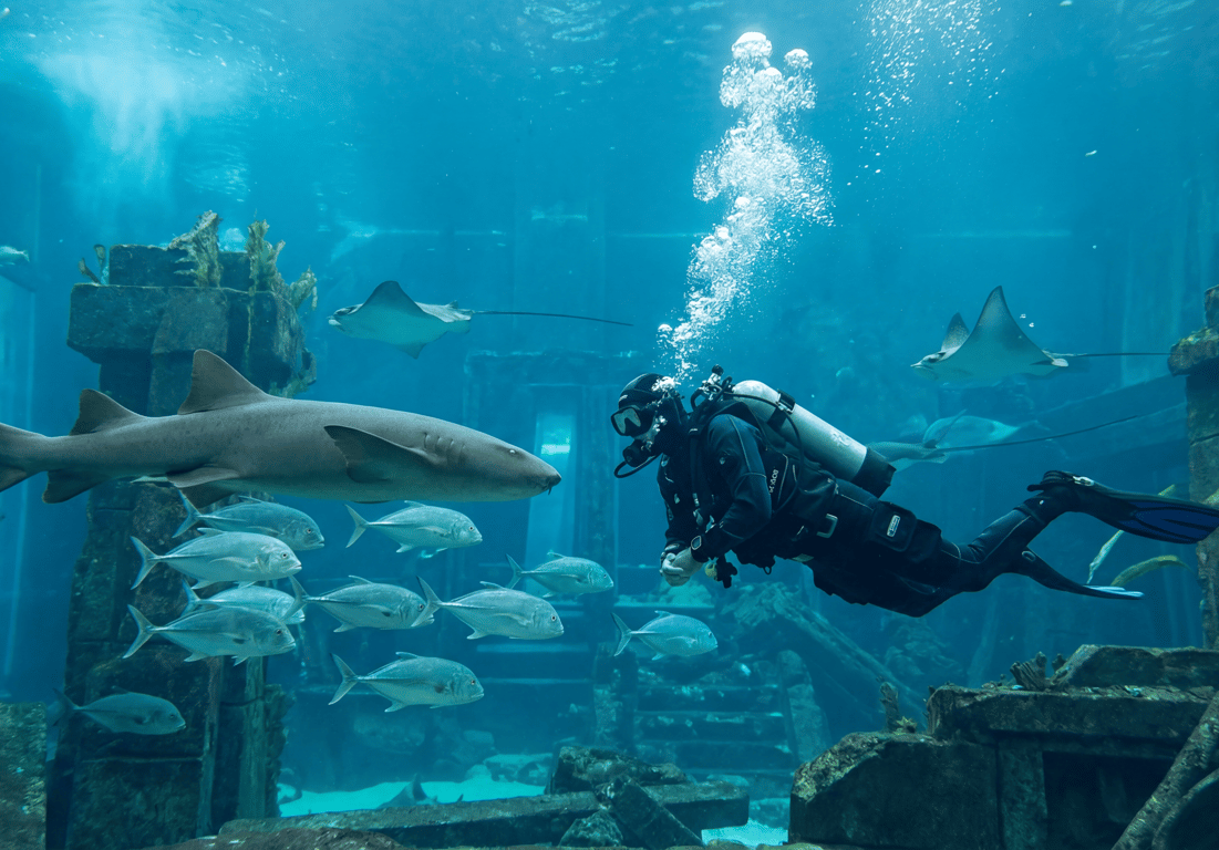 Аквариум "Затерянные палаты" - Image 3