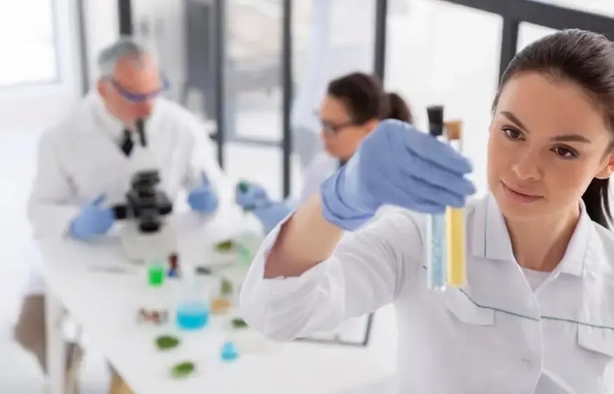 Biochemical Processes