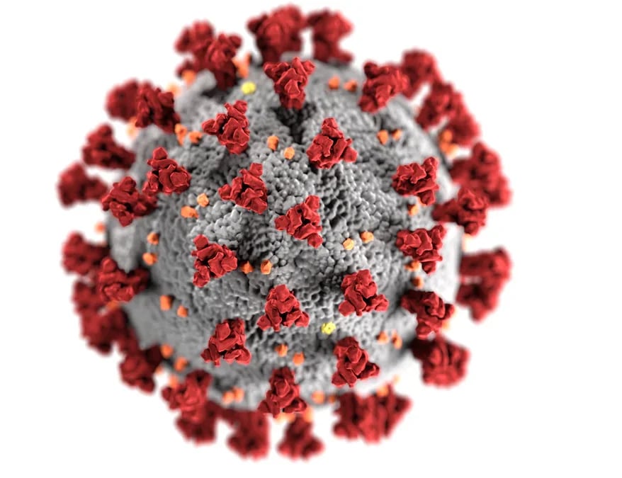 Pathogens Variety