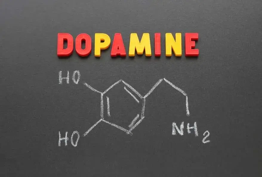 Dopamine: Happy hormone