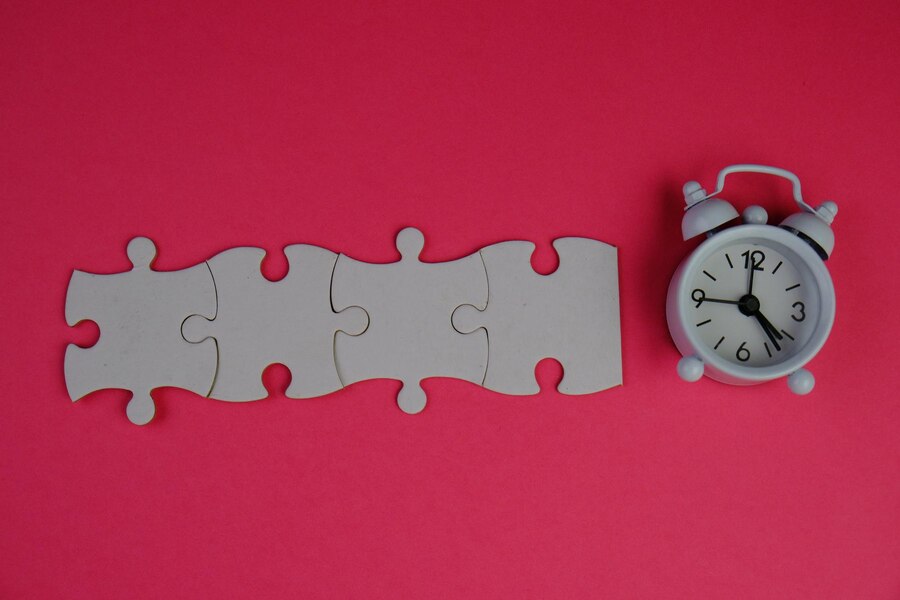 THE PUZZLE TIME CHALLENGE