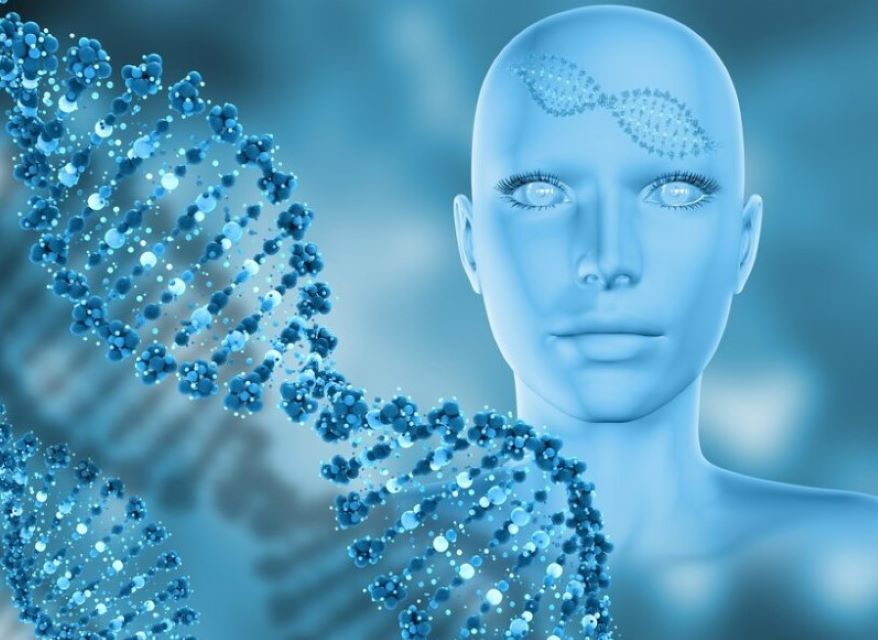 What are Genetic Traits?