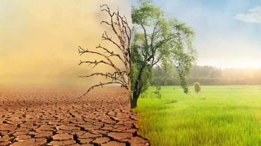 dry vs wet land